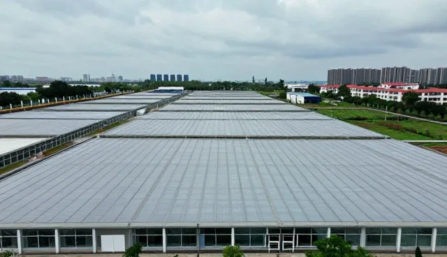 工程改造中景观绿化施工的场景适配与技术要点